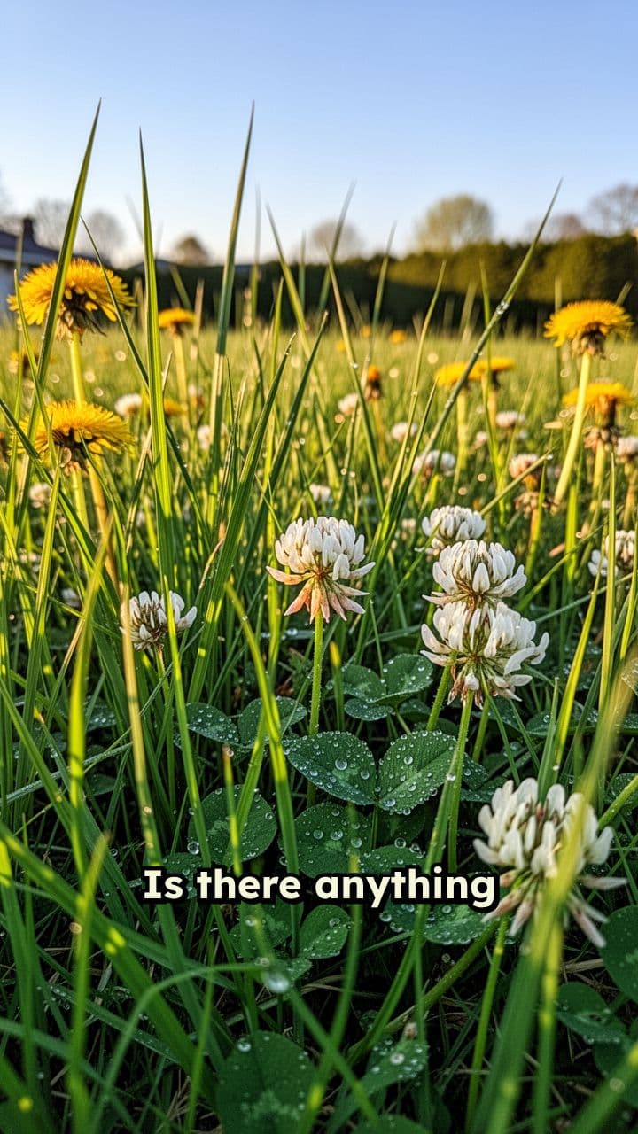 Viral TikTok Lawn Mowing ASMR