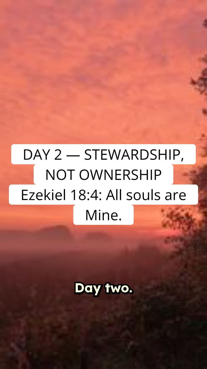Stewardship, Not Ownership
