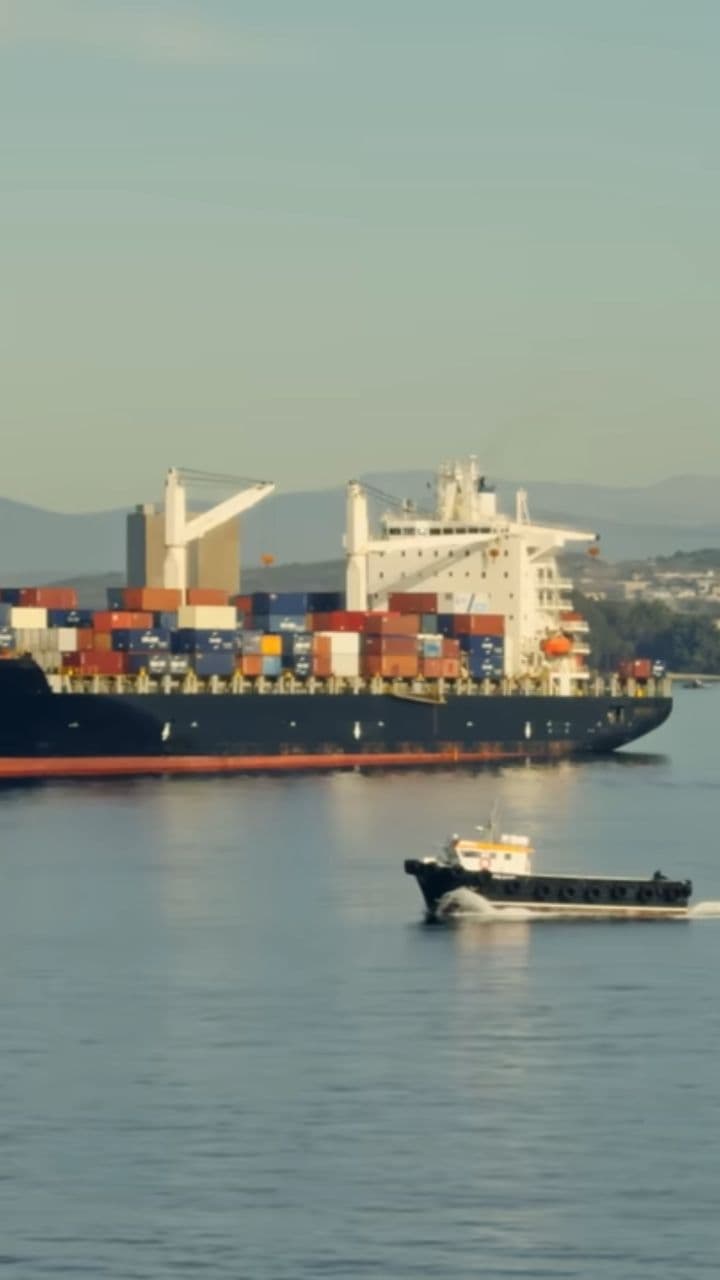 Maestro dell'Import Export