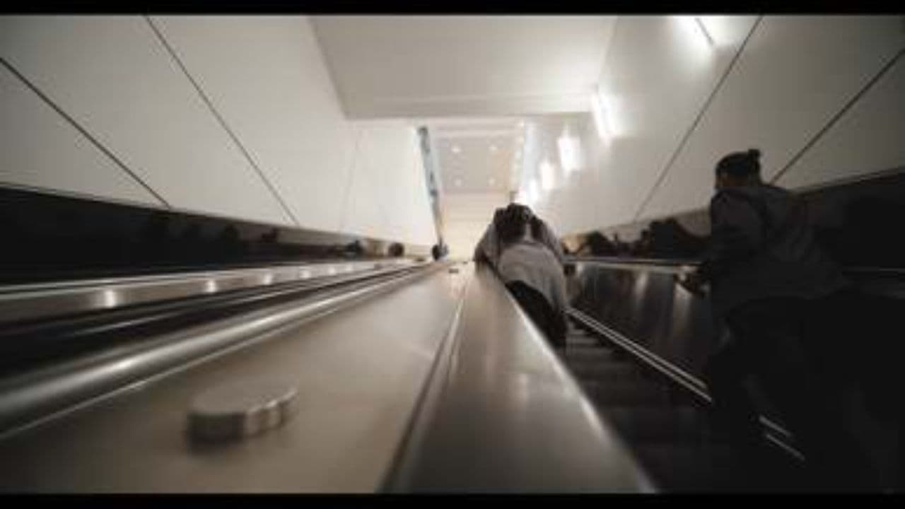 Chiku's Faithful Wait