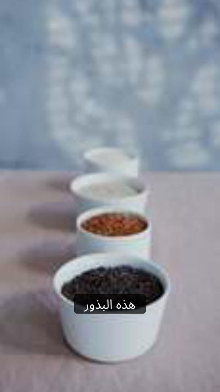 فوائد بذور الشيا والكتان واليقطين