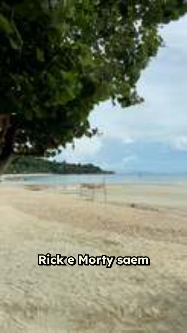 Cadeira Anfíbia e Praia Acessível