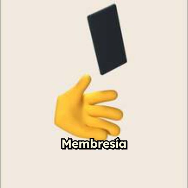 Membresía en IIA Bolivia