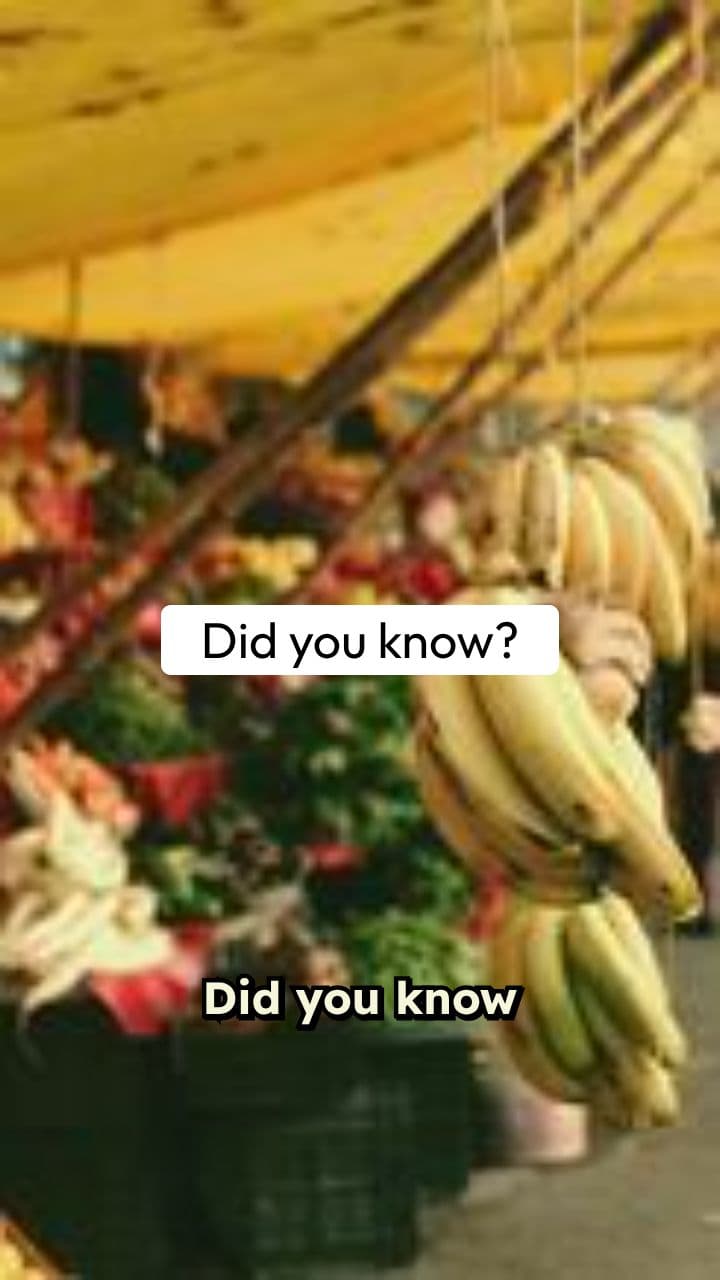 Vietnam's Vanishing City