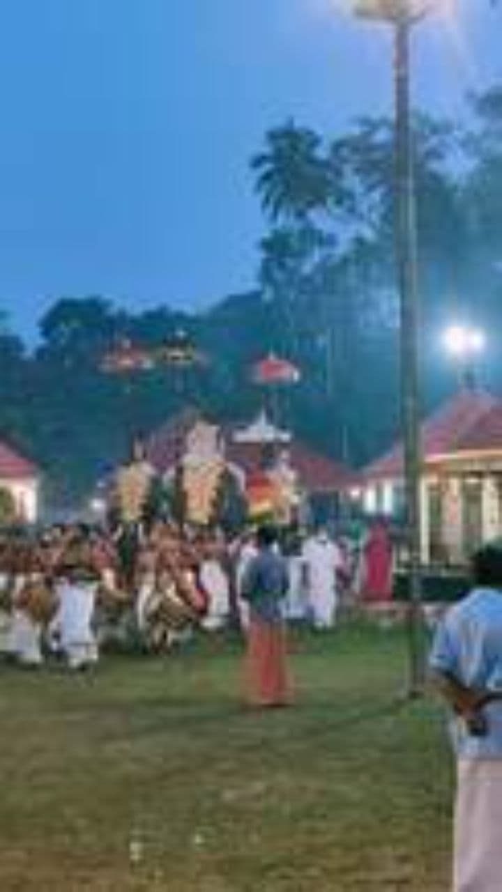 African Tribal Birthday Celebration