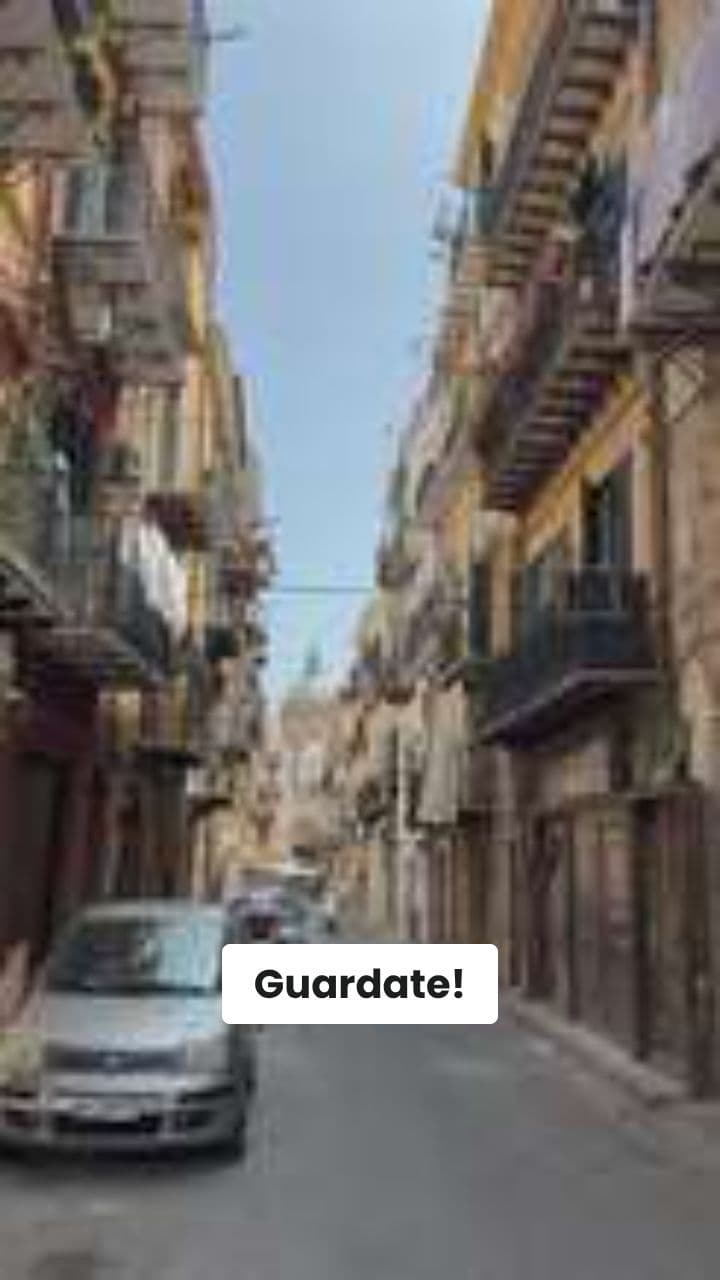 Le Avventure di Mufasini Alfajor