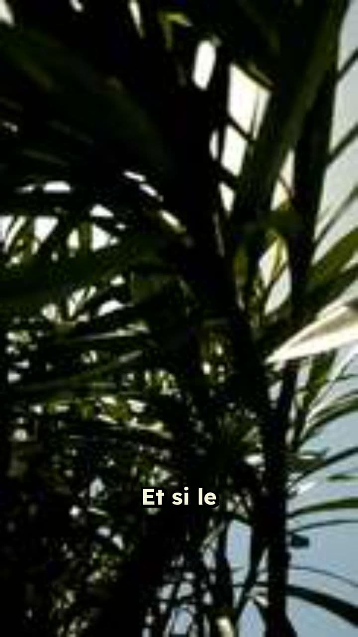 Et si le Soleil s'éteignait ?