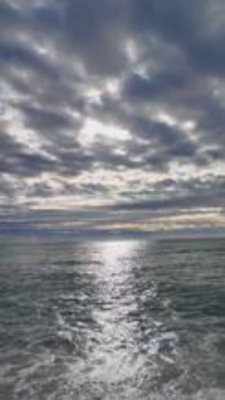 静かな夜のカラスの街