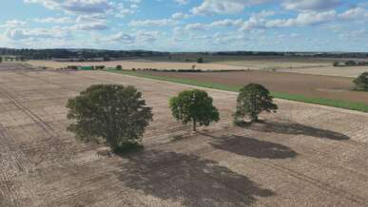 Fierljeppen: Vliegen door het Friese Land