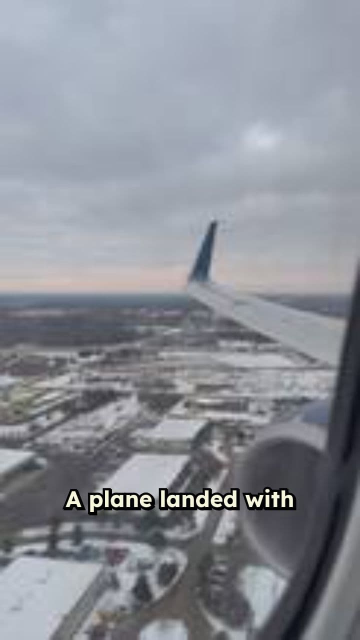 Passenger Lands Plane Without Pilots