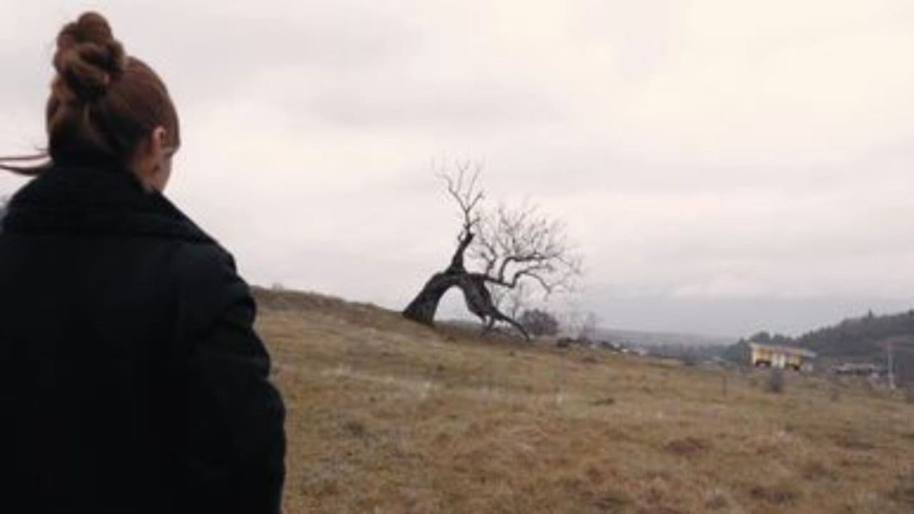 I Didn't Really Know You