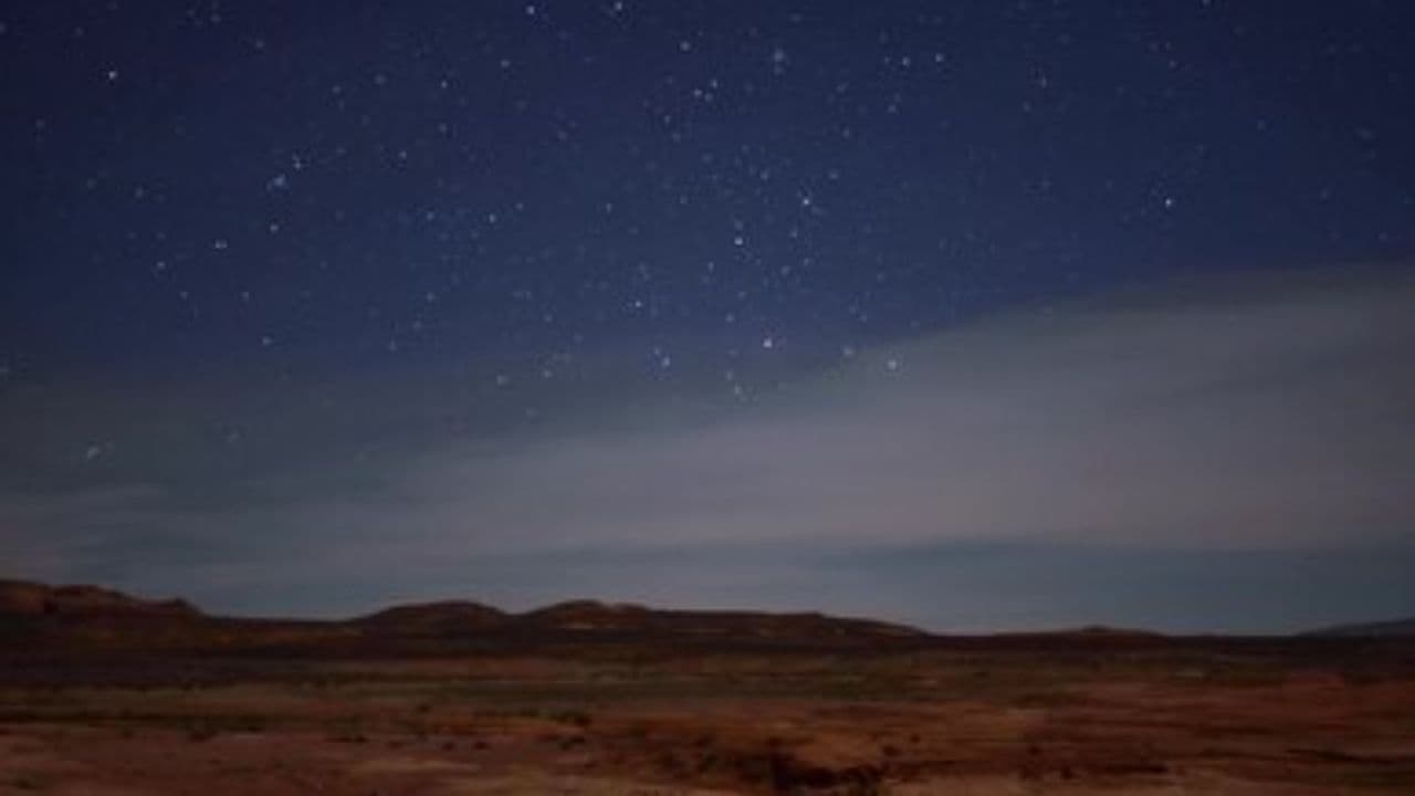 Rege-n Industrie, Faraon al Muzicii