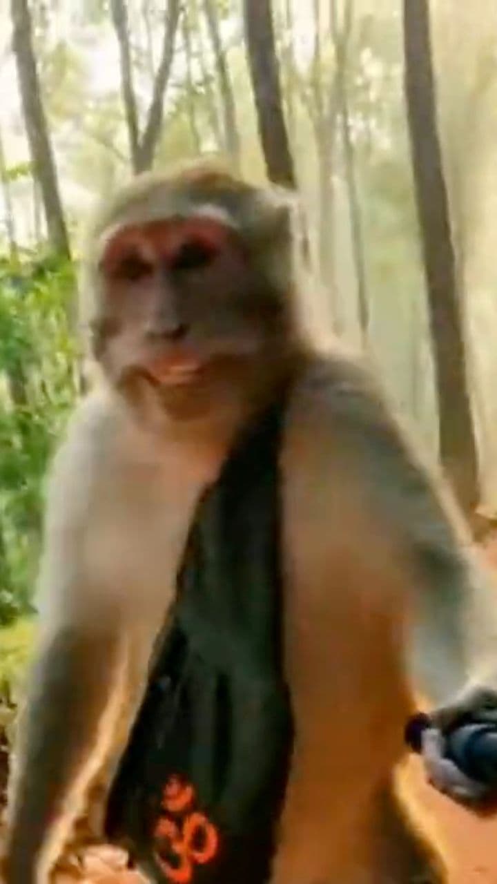 Sabarimala Journey Begins