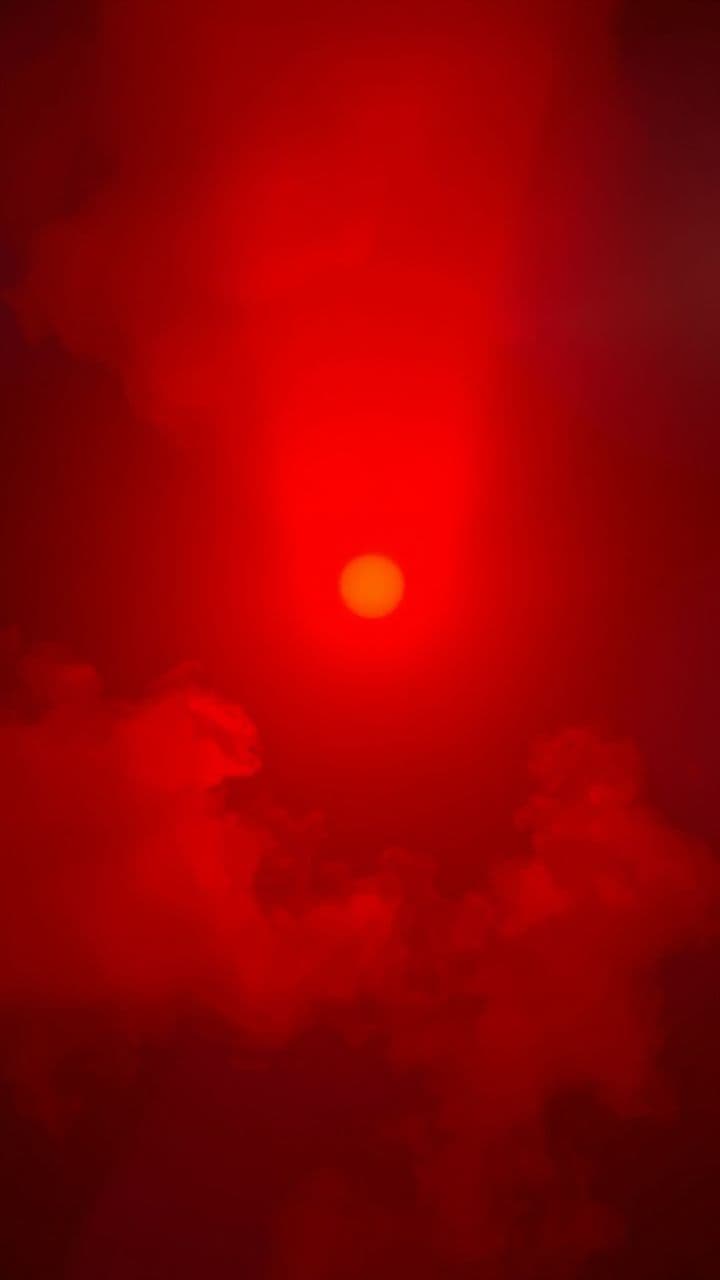 Benfica: A Paixão Eterna