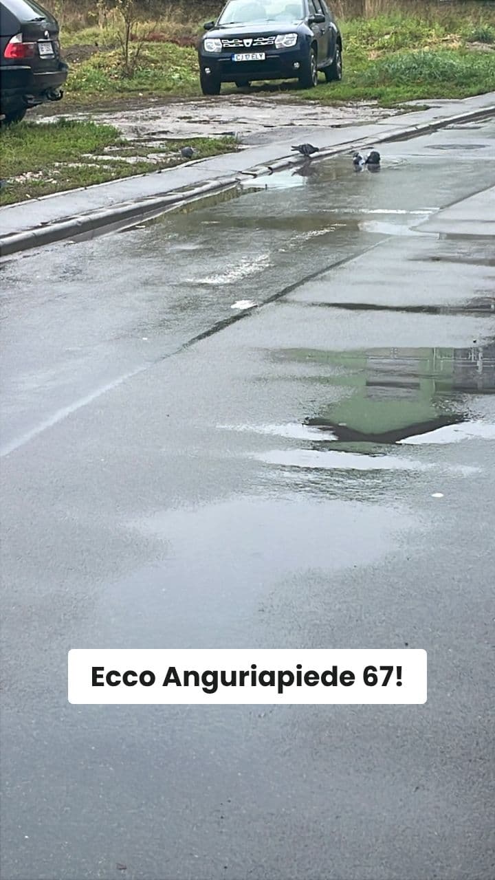 L'Odio di Anguriapiede 67