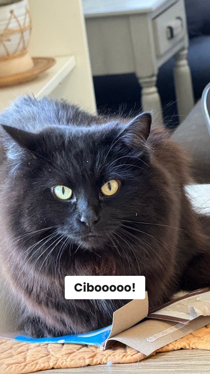 Buffycutieface: La Fame Infinita!