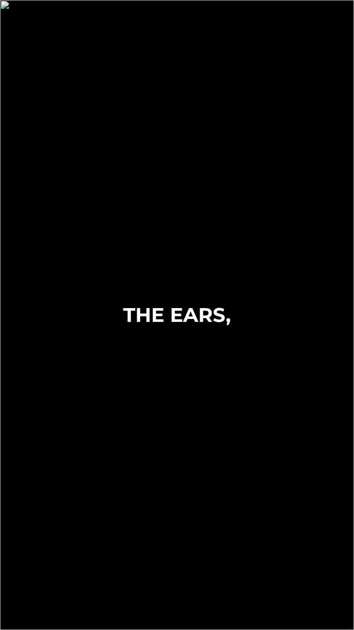 Sensory Systems and Their Functions