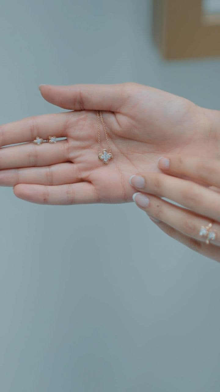 Everyday Elegance: The Precious Collection