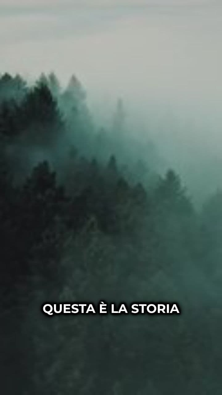 Il misterioso Leonardo Placidi