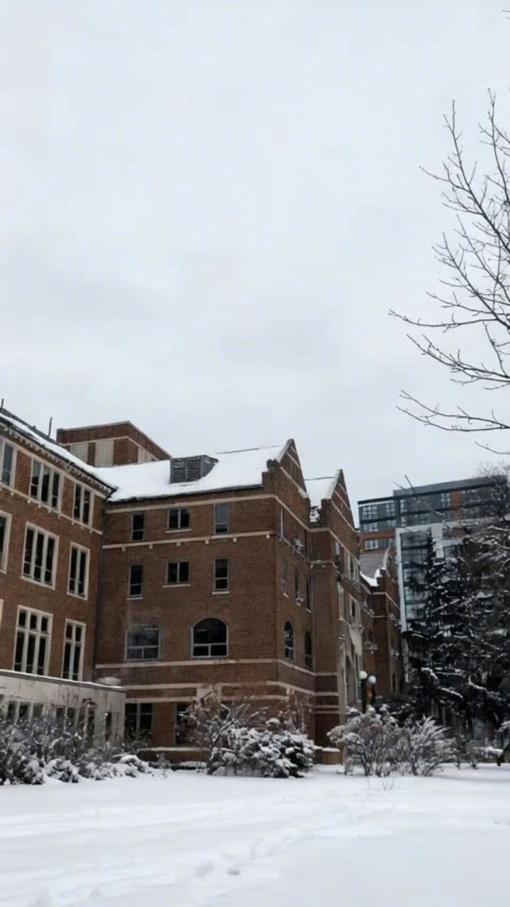 Image transform video