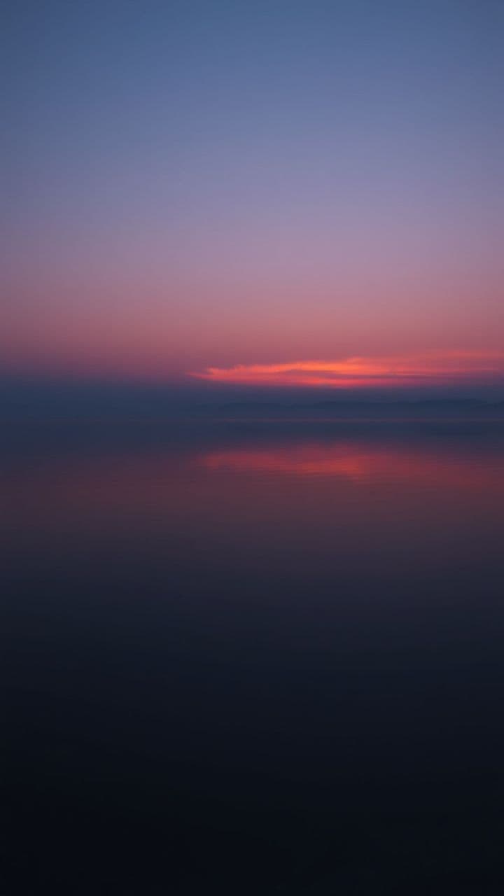 Whispers in the Night