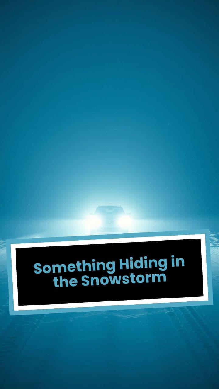 Something Hiding in the Snowstorm