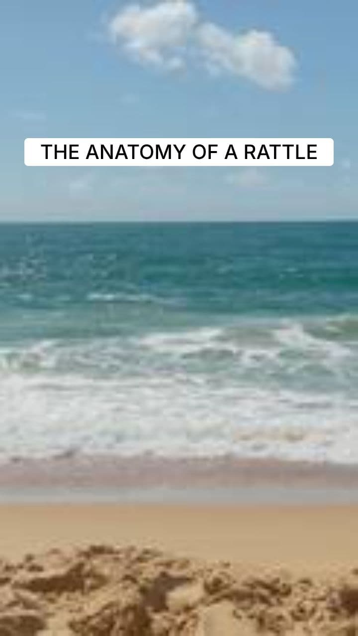 Rattlesnake Rattle: The Keratin Stack