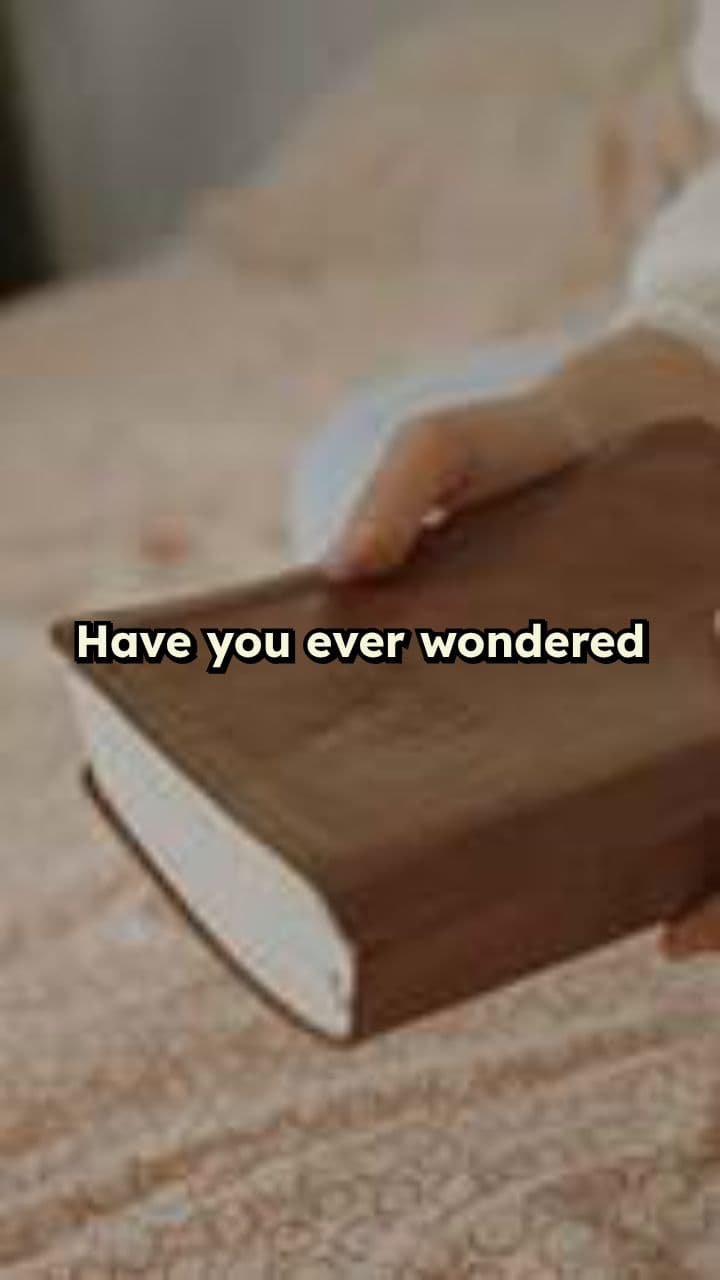 Finding Peace in Everyday Moments