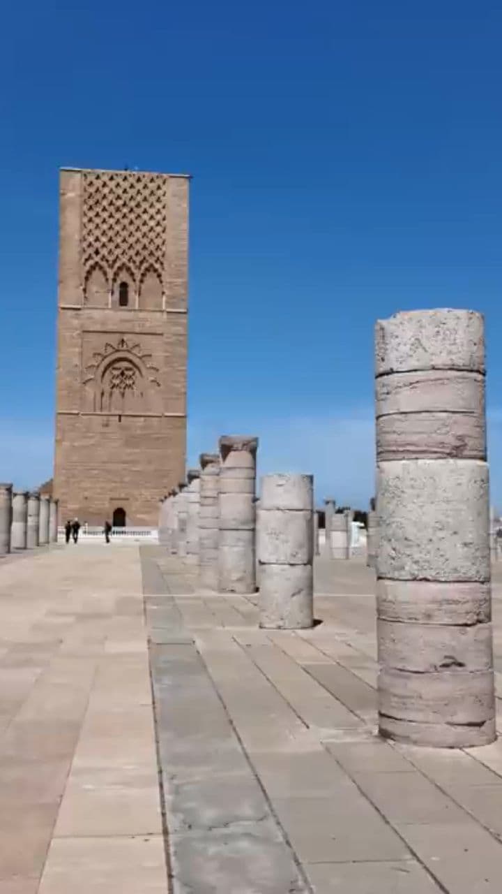 Croissantino Gatto's Absurd Italian Journey