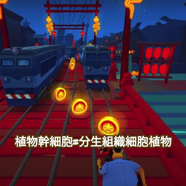 植物幹細胞與分生組織