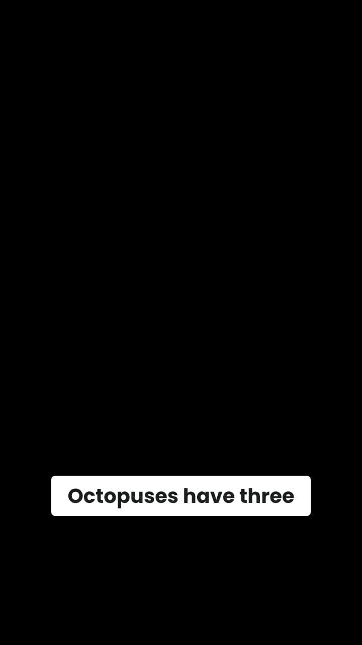 Octopuses Taste With Their Arms