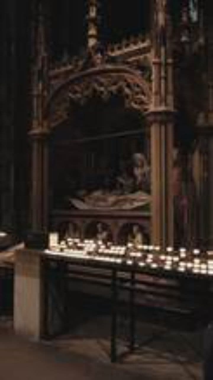 Tragic Sentencing for Dangerous Driving Case