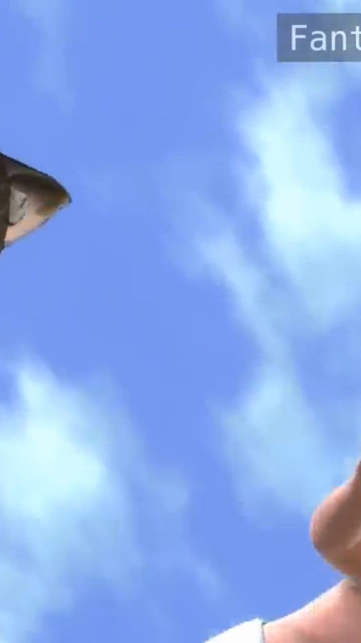 The Aftermath of the Fall