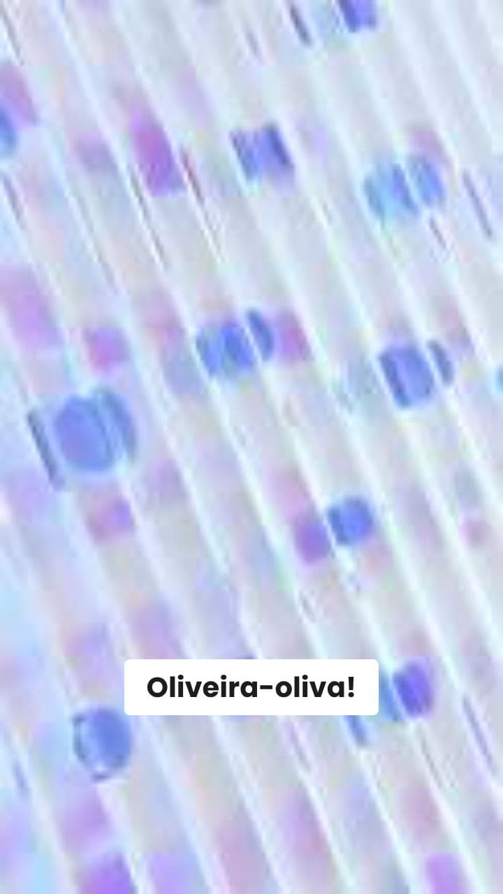 Oliveira-Oliva in Fuga Infinita