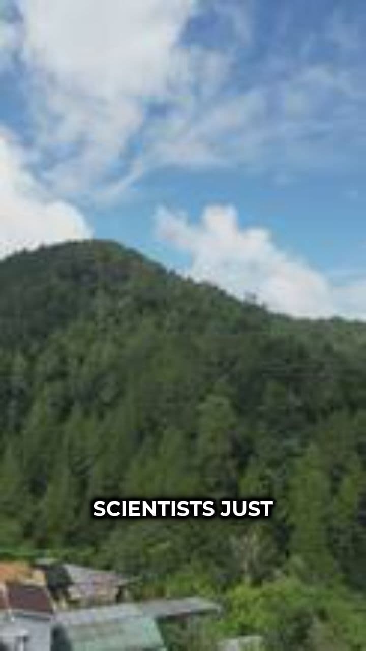 Urgent Action Needed to Save Endangered Species