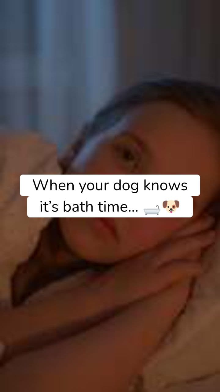 Dog Bath Time Drama