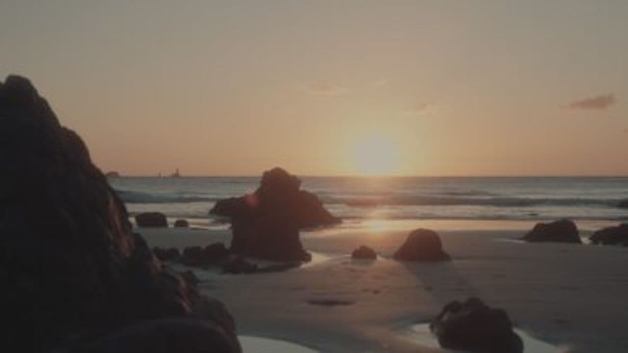 Мушкетеры и дружба