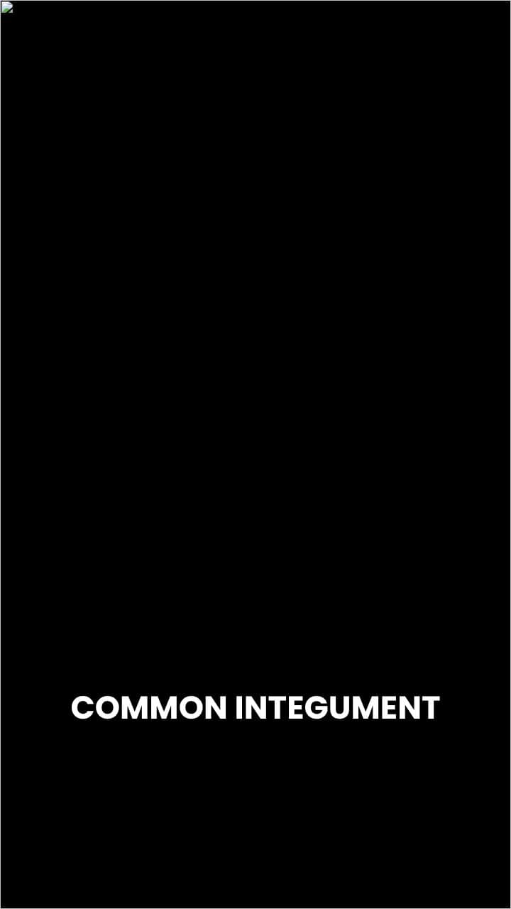 Integumentary System Overview