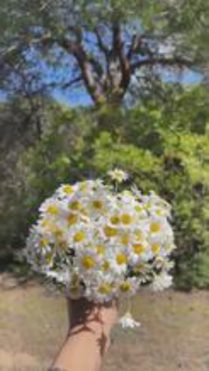 Eternal Connections in Awe