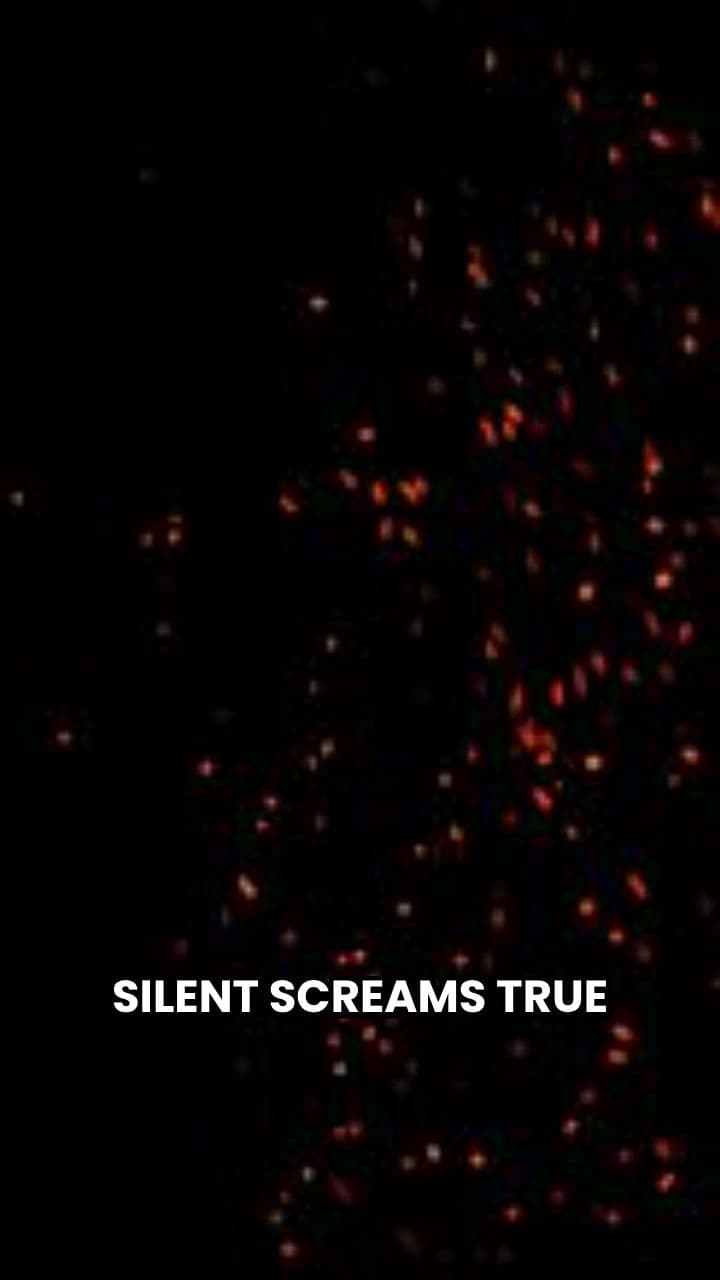 Silent Screams of a Tragic Love