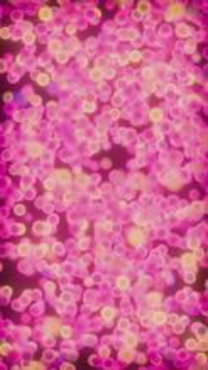 Grãos Bahia na Estrada do Sertão