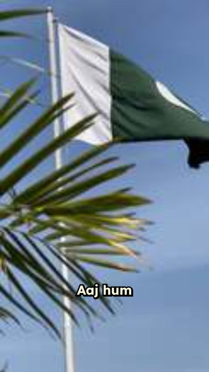 SSG vs Para SF: Kaun hai Best?