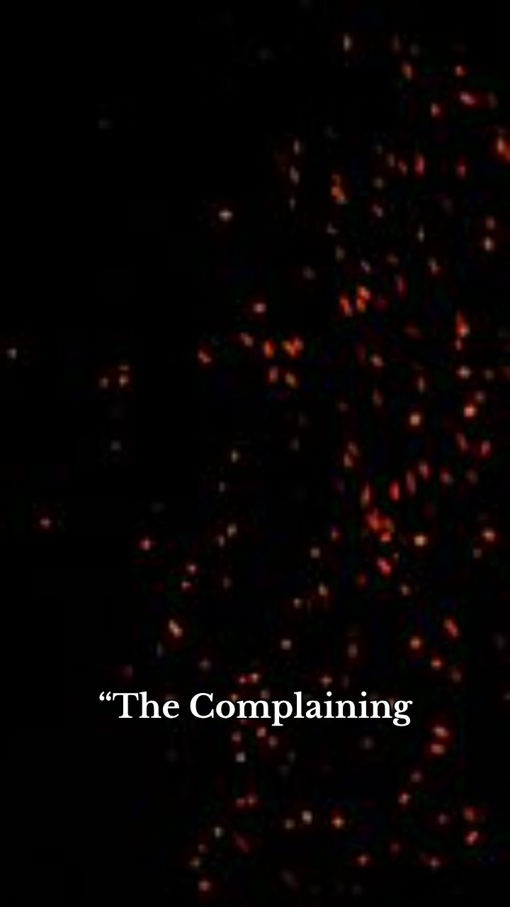 The Complaining Aircon Solution