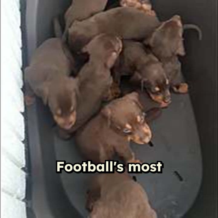 Wholesome Moments in Football