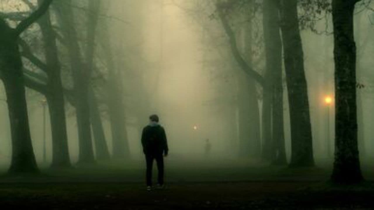 Цена любви в ночной тьме