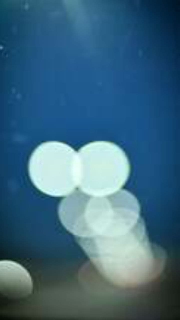 Aroma tropicală și vibrații fenomenale