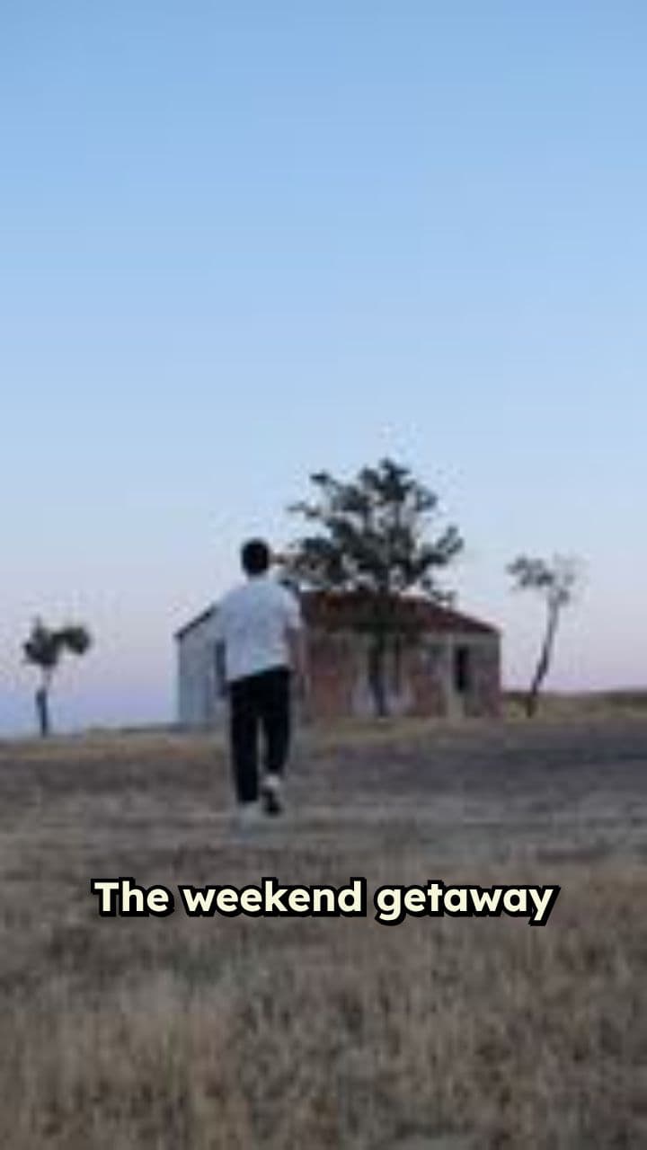 The Balloon in the Tree