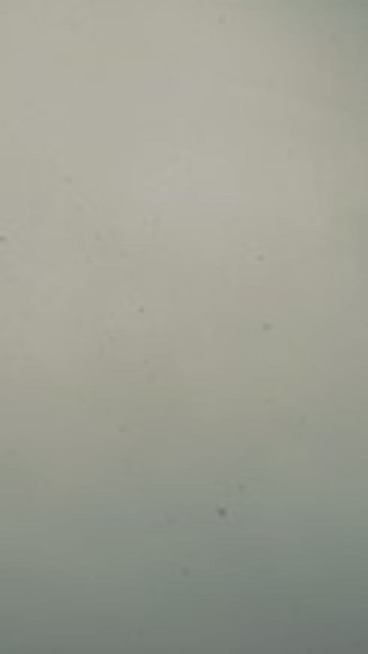 فان و خوشبو با تراست