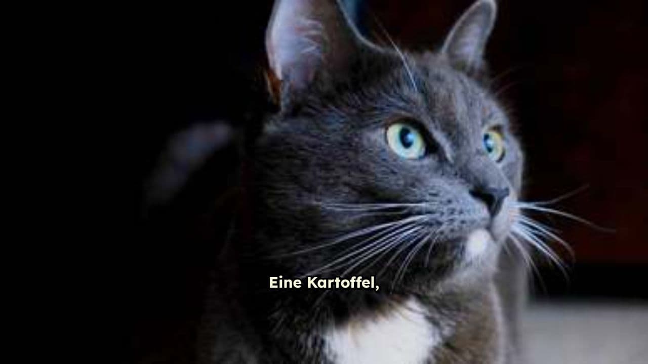 Die Magische Kartoffel-Katze
