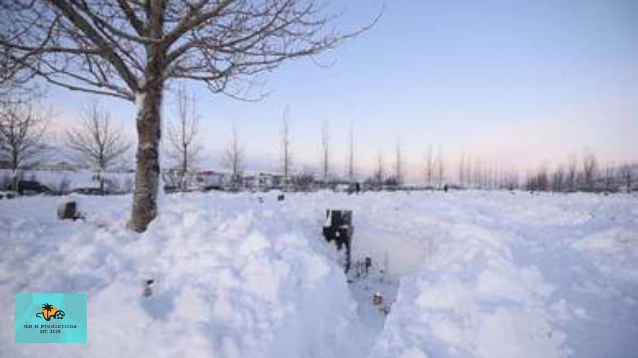 Cold Christmas, Warm Memories